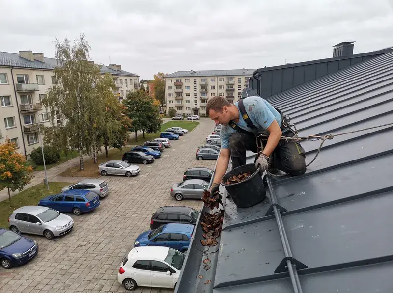 Darbuotojas su saugos virve ant daugiabučio stogo krašto renka lapus iš latako į kibirą